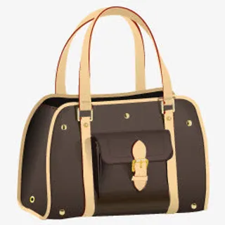 LV名牌包菜鸟图库标下载免抠