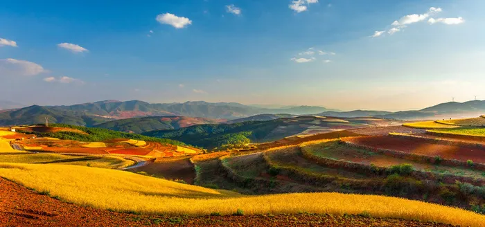 唯美浪漫梯田风景banner高清