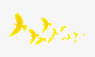 一群鸽子插画免抠