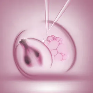 葡萄籽针管背景高清