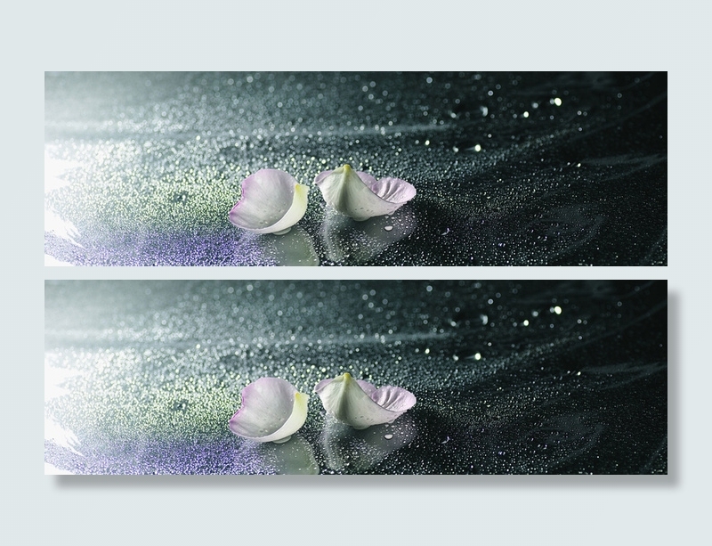 高雅大气花瓣水珠背景高清