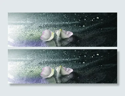 高雅大气花瓣水珠背景高清