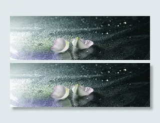 高雅大气花瓣水珠背景高清