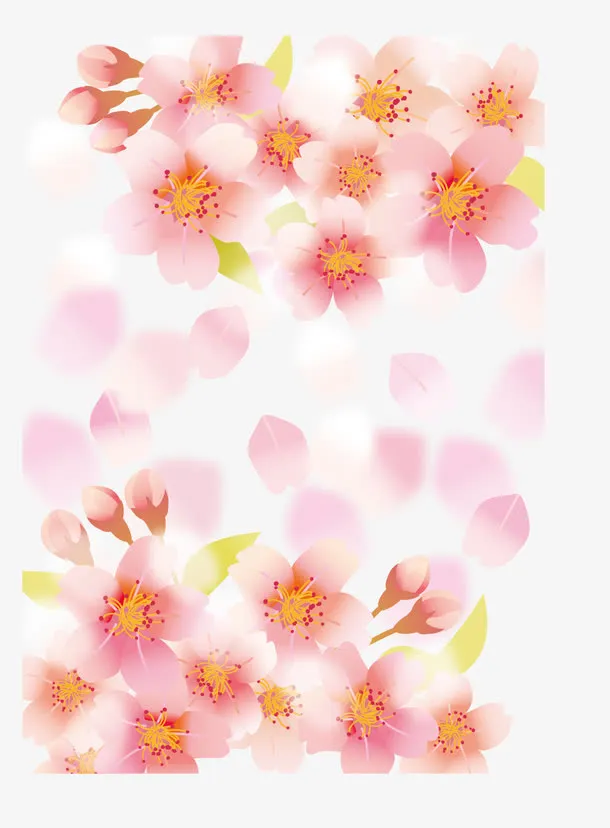 樱花节底纹免抠