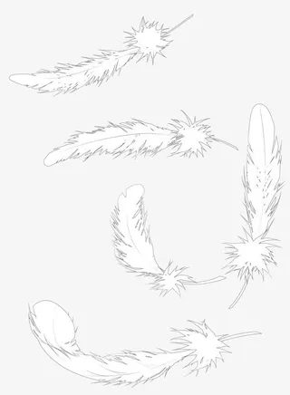 洁白羽毛手绘免抠