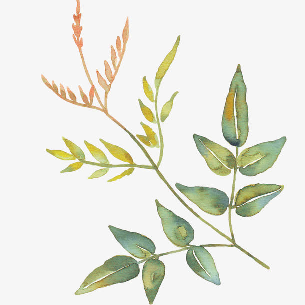 创意水墨枯树枝免抠