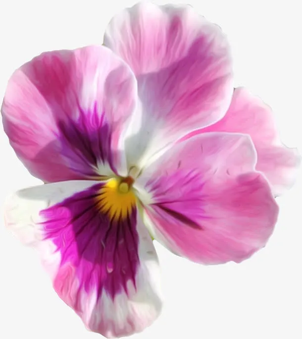 紫色的花免抠