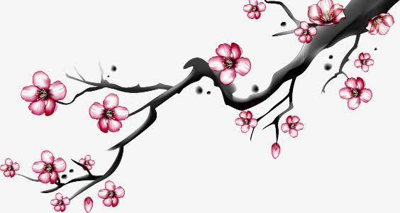 梅花免抠