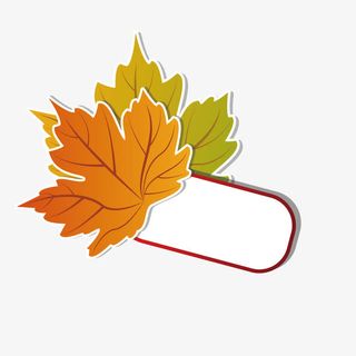 手绘树叶免抠