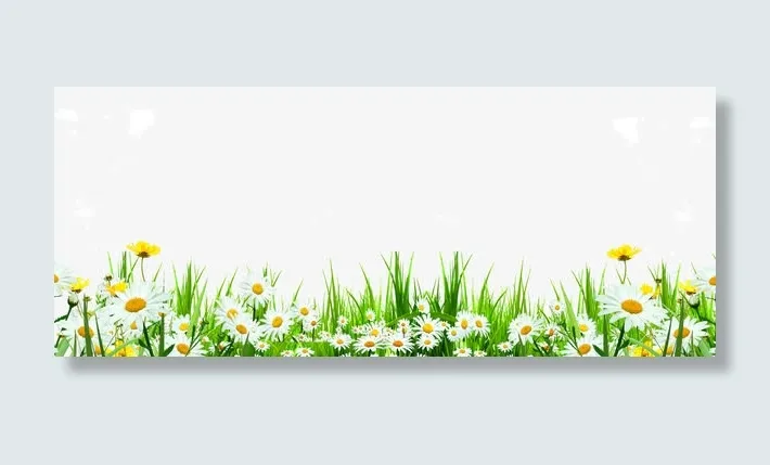 可爱路边雏菊小花野草免抠