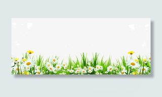 可爱路边雏菊小花野草免抠