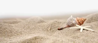 沙滩海报装饰免抠