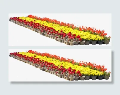 花圃花坛园艺免抠