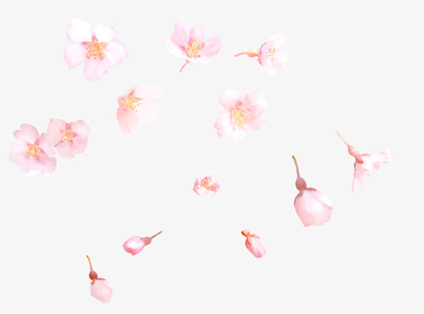 水彩手绘花朵免抠漂浮花瓣元素