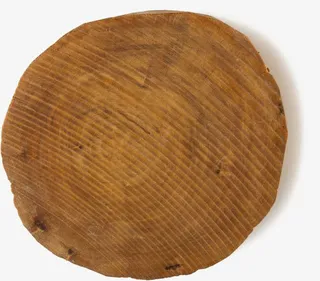 树干免扣元素免抠