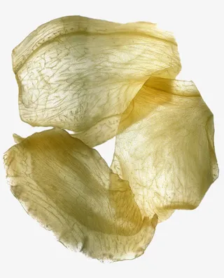 美丽的生姜片纹理免抠