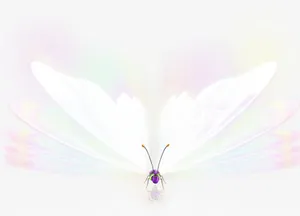 白色唯美意境蝴蝶免抠