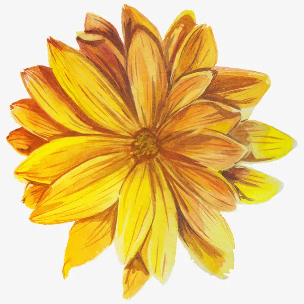花免抠