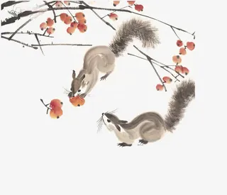 免抠素材松鼠图片免抠