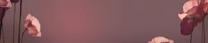 通用海报背景banner