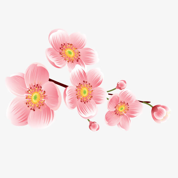 桃花免抠