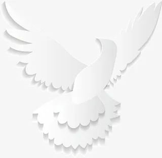 透明白色反光飞舞白鸽免抠