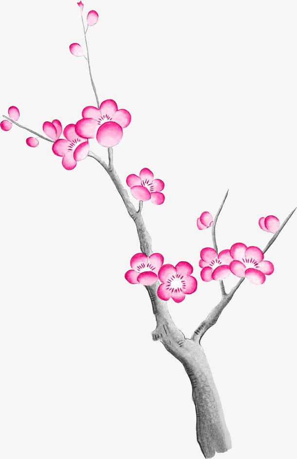 粉色中国风美丽花枝免抠