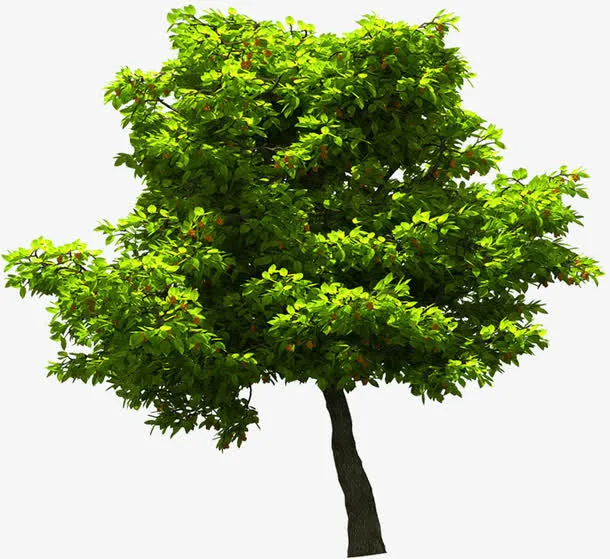 植物七夕效果海报树木免抠