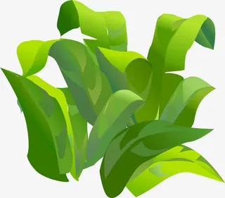 手绘小草图案免抠