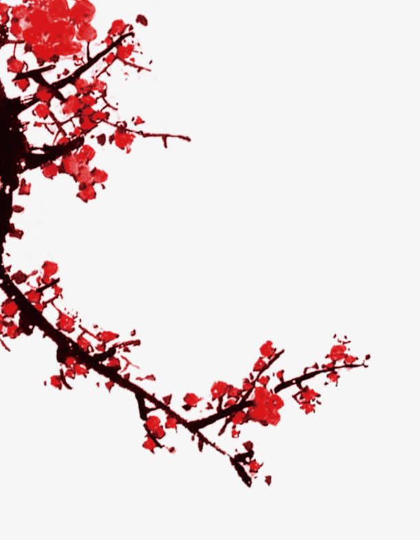 大红色梅花免抠