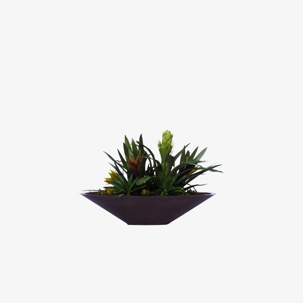 欧美流行插花 绿植物 鲜花软装免抠