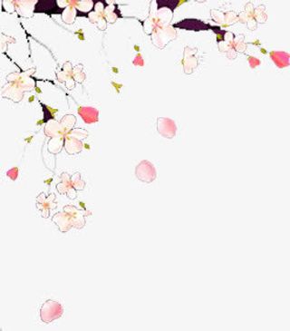 手绘桃花植物花朵免抠