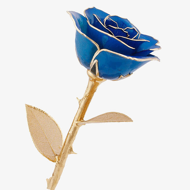 金边蓝色假花免抠