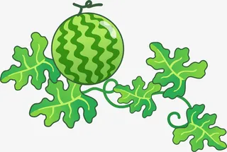 卡通水果西瓜免抠