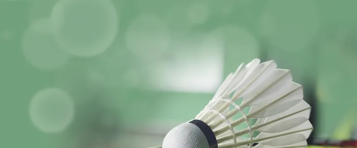 羽毛球背景高清