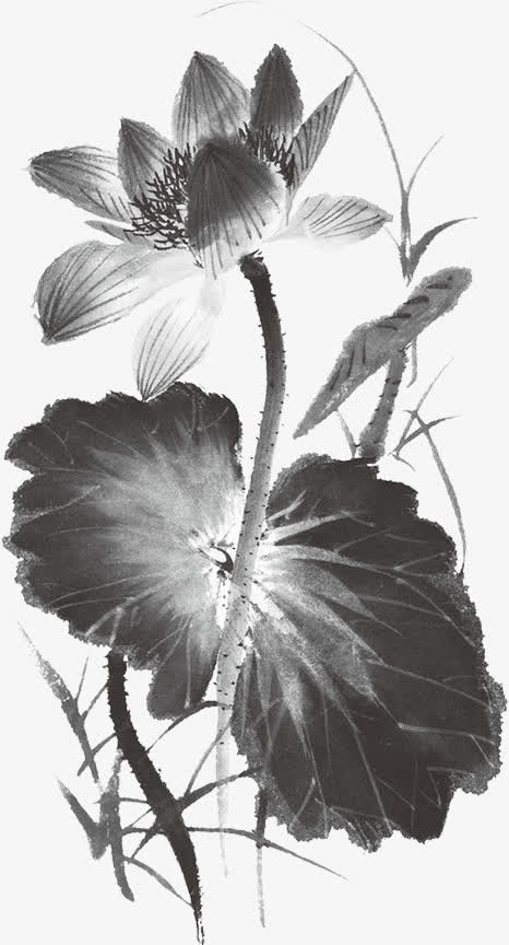 教师节水墨黑色荷花免抠