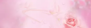粉色浪漫背景banner