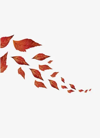 漂浮的红叶免抠