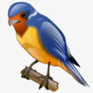 鸟燕子推特supervista免抠