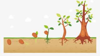 小树发芽矢量免抠