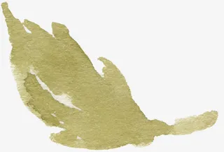 树叶底纹素材卡通树叶素材免抠