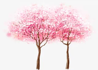 手绘樱花春季水彩画素材免抠