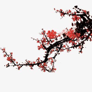 水墨红色梅花花枝免抠
