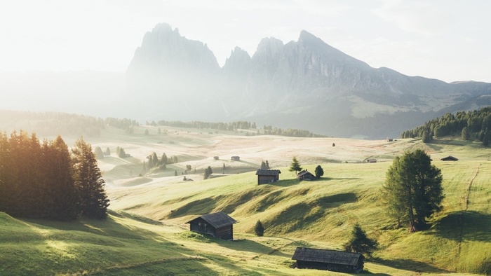 草地,背景,png,素材高清