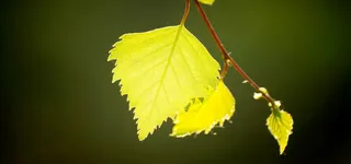 淘宝背景图高清