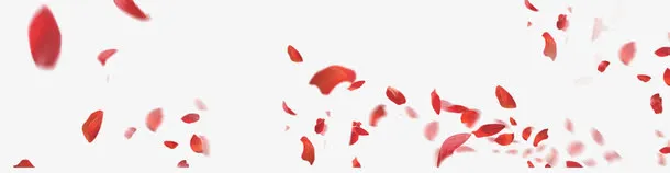 漂浮着的玫瑰花瓣免抠