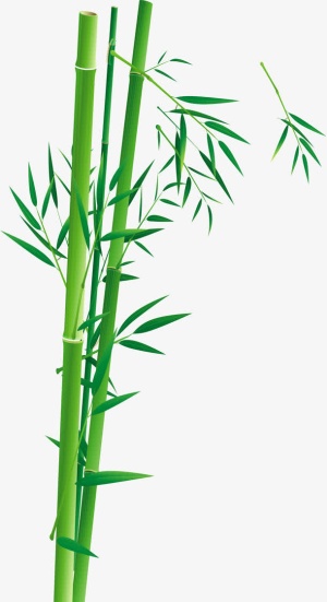 竹免抠节日端午节元素