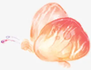 水彩黄色蝴蝶七夕免抠