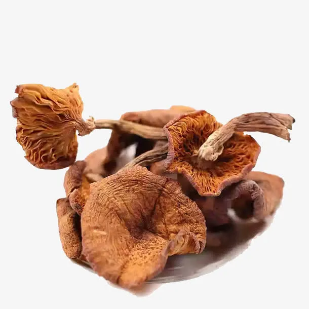 榛蘑素材免抠