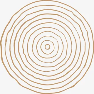 棕色年轮矢量素材图免抠